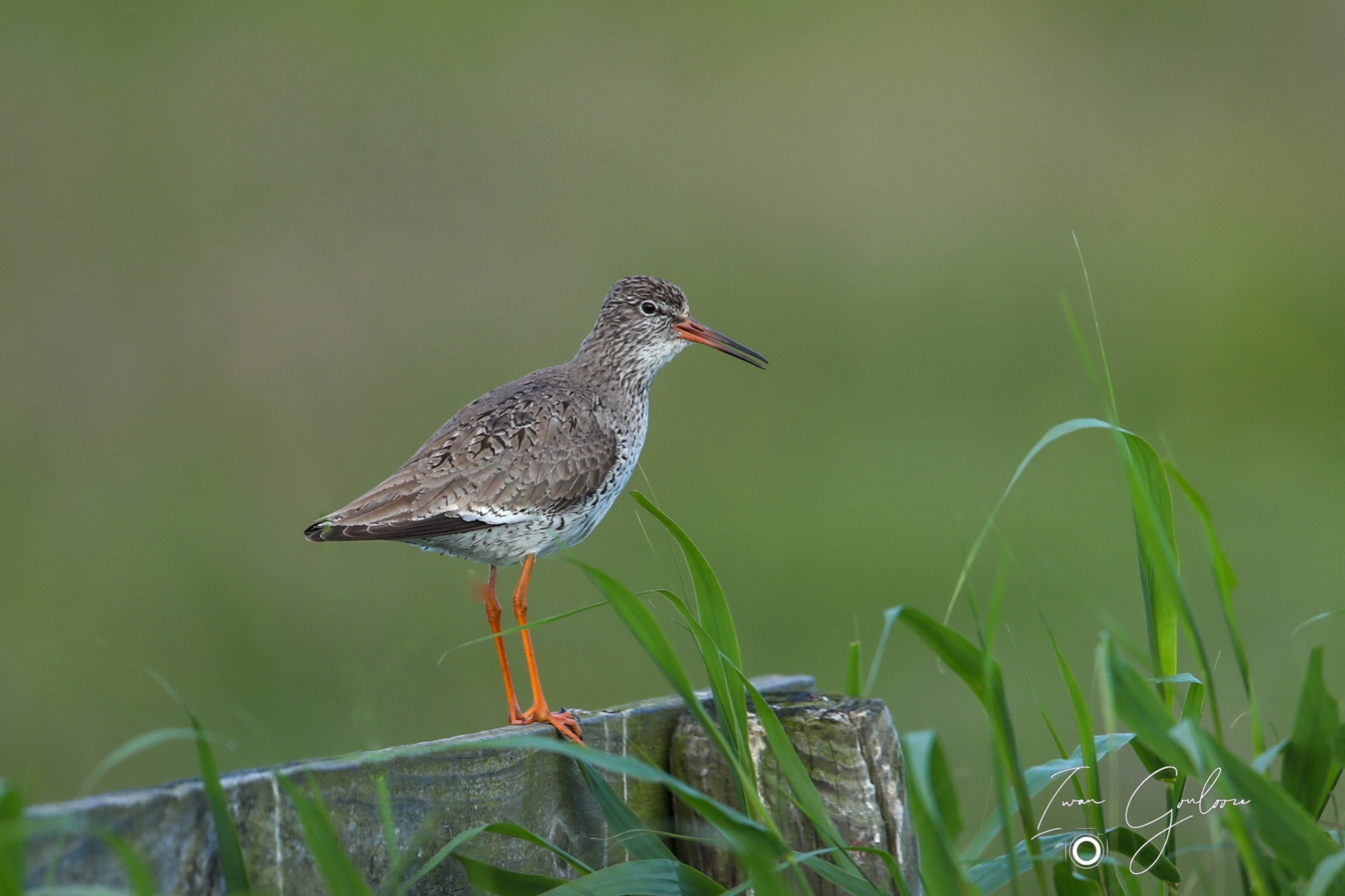 1DX46665 09 juni 2022 0745 11